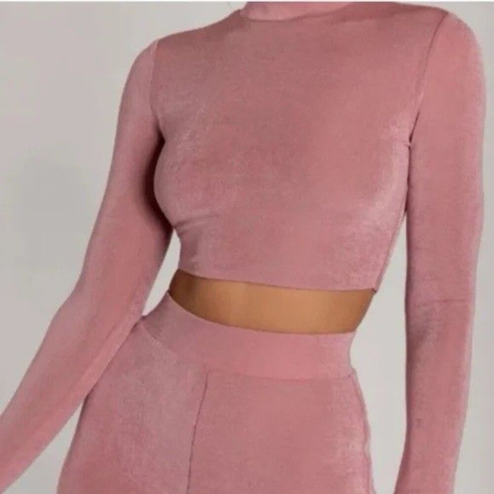 MESHKI Georgina Long Sleeve Crop Top in Pink Size Small